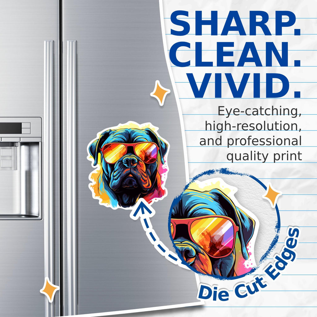 (2 Pack) Cane Corso Dog Magnets - Cane Corso with Sunglasses - Choose FromOver 100 Dog Breeds - 5" On Longest Side - Premium Magnet - Made in USA - MAG0332