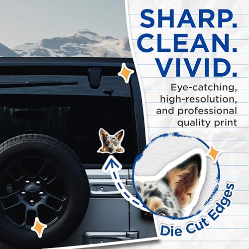(2 Pack) Cute Dog Stickers - Australian Cattle Dog Art - Cartoon Pet Decal Set - 5" On Longest Side - Sticks to Smooth Flat Surfaces - Made in USA - BMCS9836