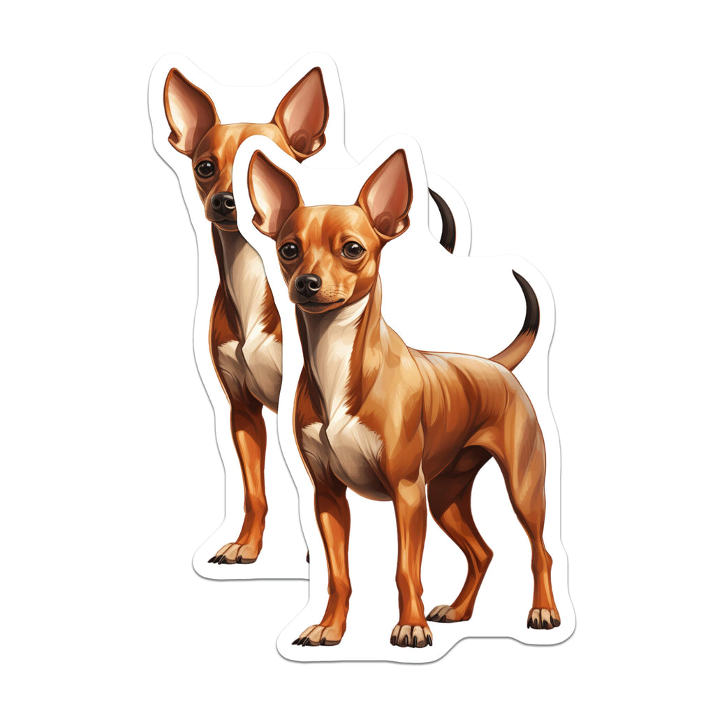(2 Pack) Chihuahua Magnets - Dog Lover Fridge Decor - Small Breed Refrigerator Magnets - 5 Inches On Longest Side - Thick Durable Magnet - Made in USA - MAG29906