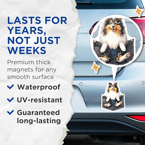 (2 Pack) Sheltie Dog Magnets - Cute Dog Refrigerator - Pet Lover Kitchen ation - 5" On Longest Side - for Cars, Fridges, Toolboxes - Made in USA - MAG4400