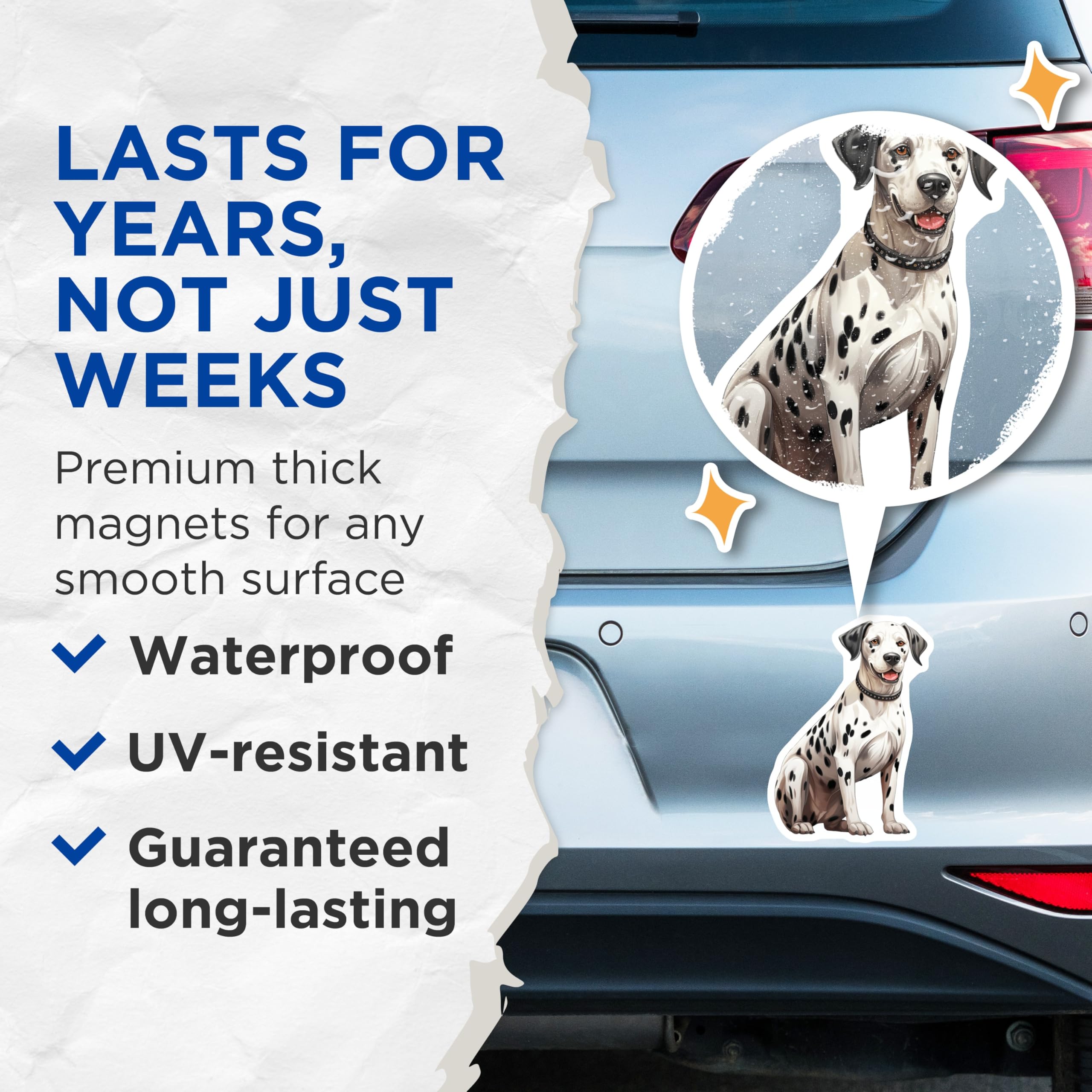 (2 Pack) Dalmatian Dog Magnets - Cute Dog Art Refrigerator Decor - Pet Owner Kitchen Accessories - Breed Lover Accent - 5 Inches On Longest Side - Thick Durable Magnet - Made in USA - MAG27000