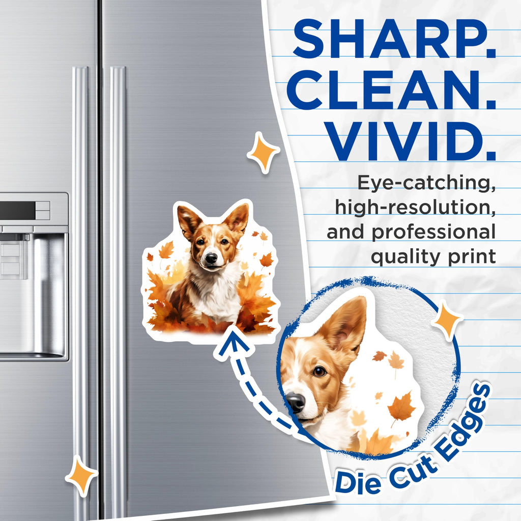 (2 Pack) Corgi Autumn Magnets - Cute Dog Decor - Fall Fridge Magnets - 5 Inches On Longest Side - Thick Durable Magnet - Made in USA - MAG25429