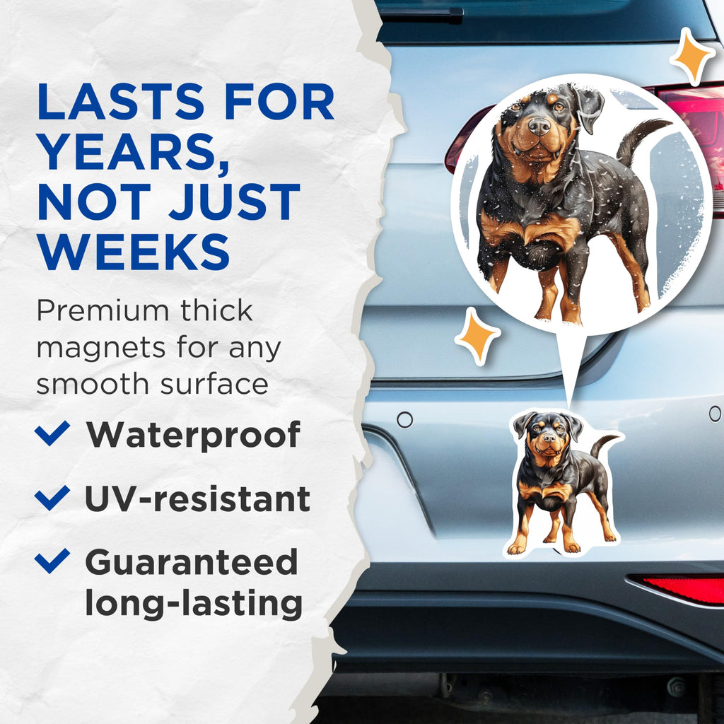 (2 Pack) Rottweiler Dog Magnets - Loyal Companion Fridge Decor - Dog Mom Pet Lover Kitchen Decor Magnets - 5 Inches On Longest Side - Thick Durable Magnet - Made in USA - MAG25694