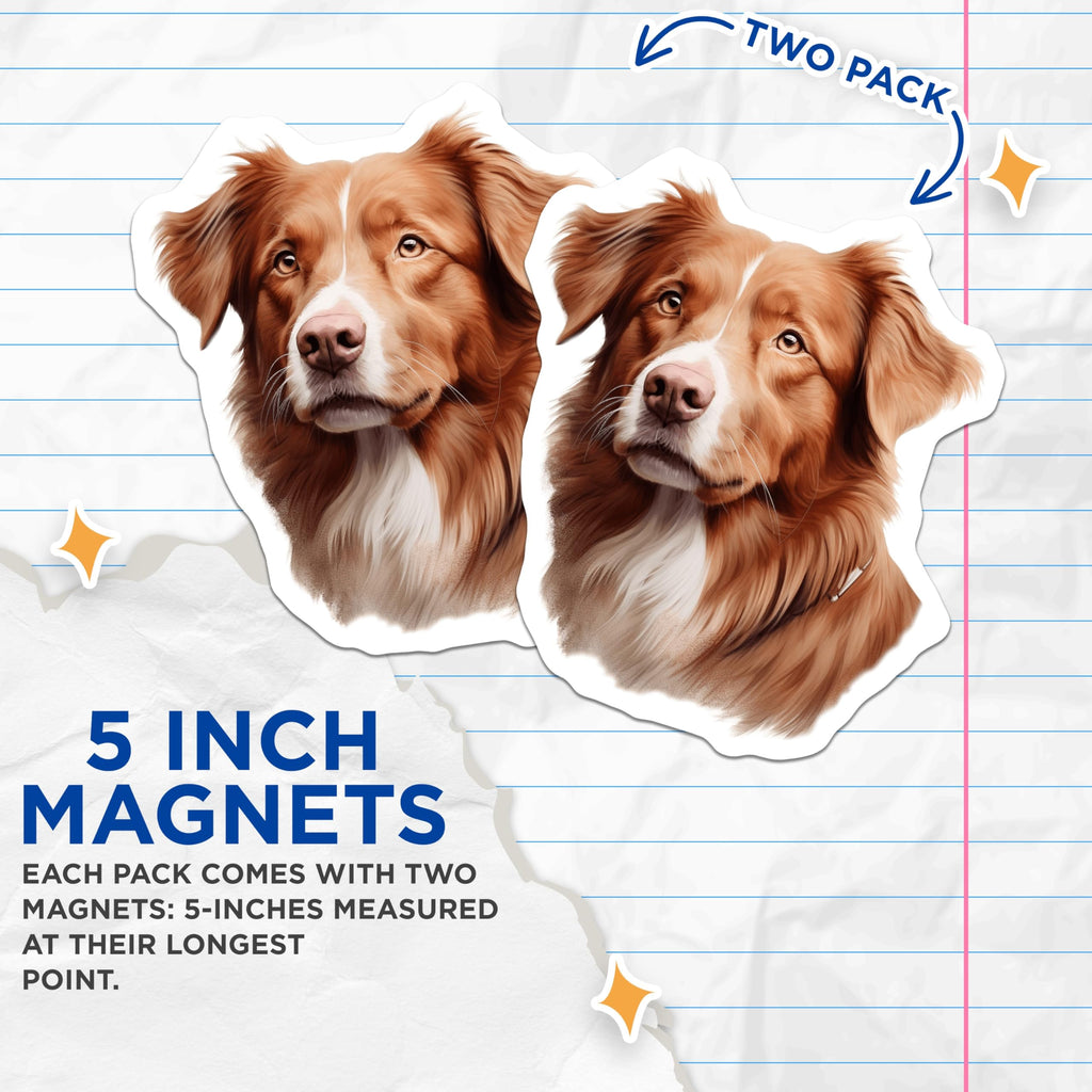 (2 Pack) Nova Scotia Duck Tolling Retriever Magnets - Toller Dog Parent - Animal Lover Home Decor - 5 Inches On Longest Side - Thick Durable Magnet - Made in USA - MAG29960
