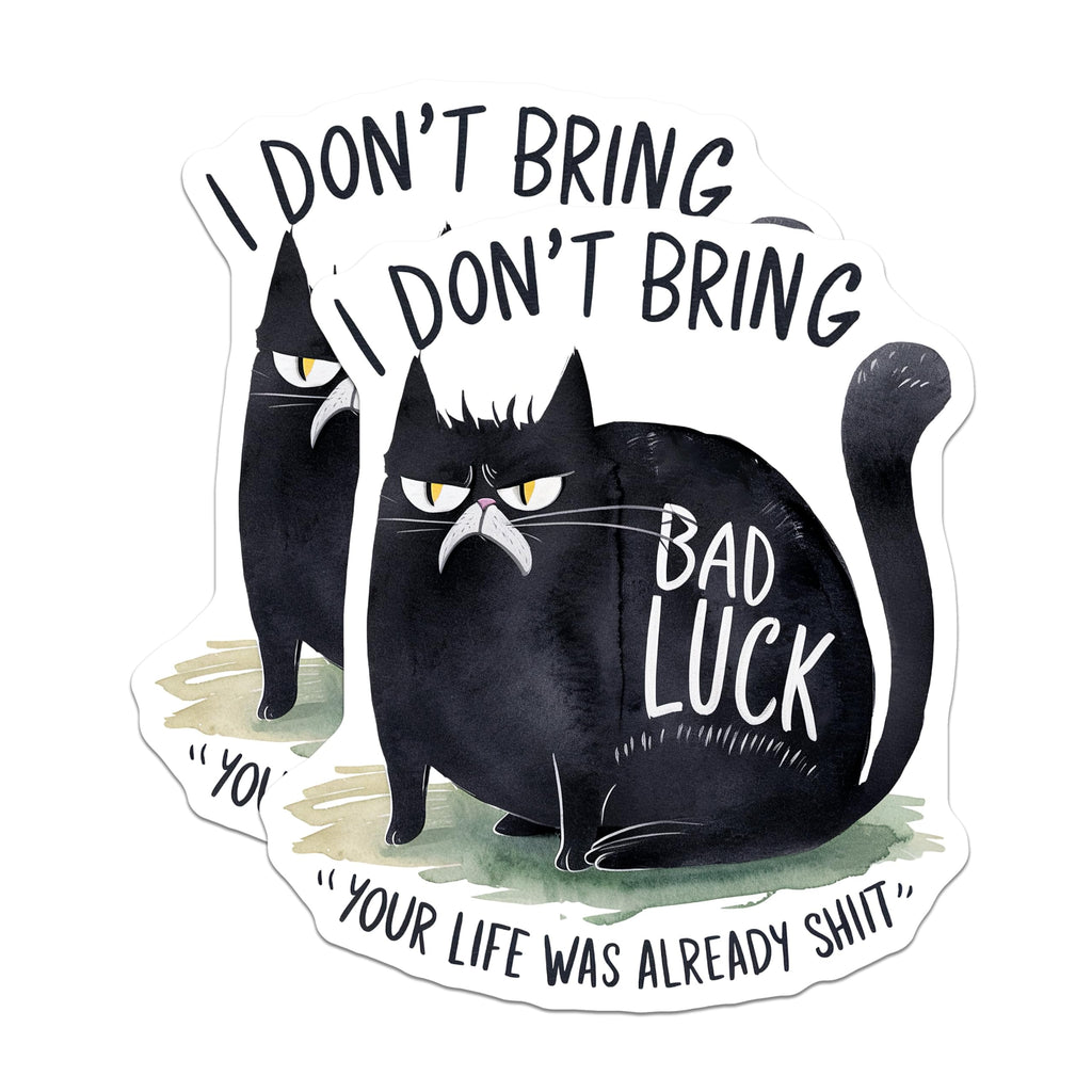 (2 Pack) Funny Cat Stickers - Grumpy Cat Humor Stickers - Sassy Cat Quote Stickers - 5" On Longest Side - Sticks to Any Smooth Flat Surface - Made in USA - BMCS3451