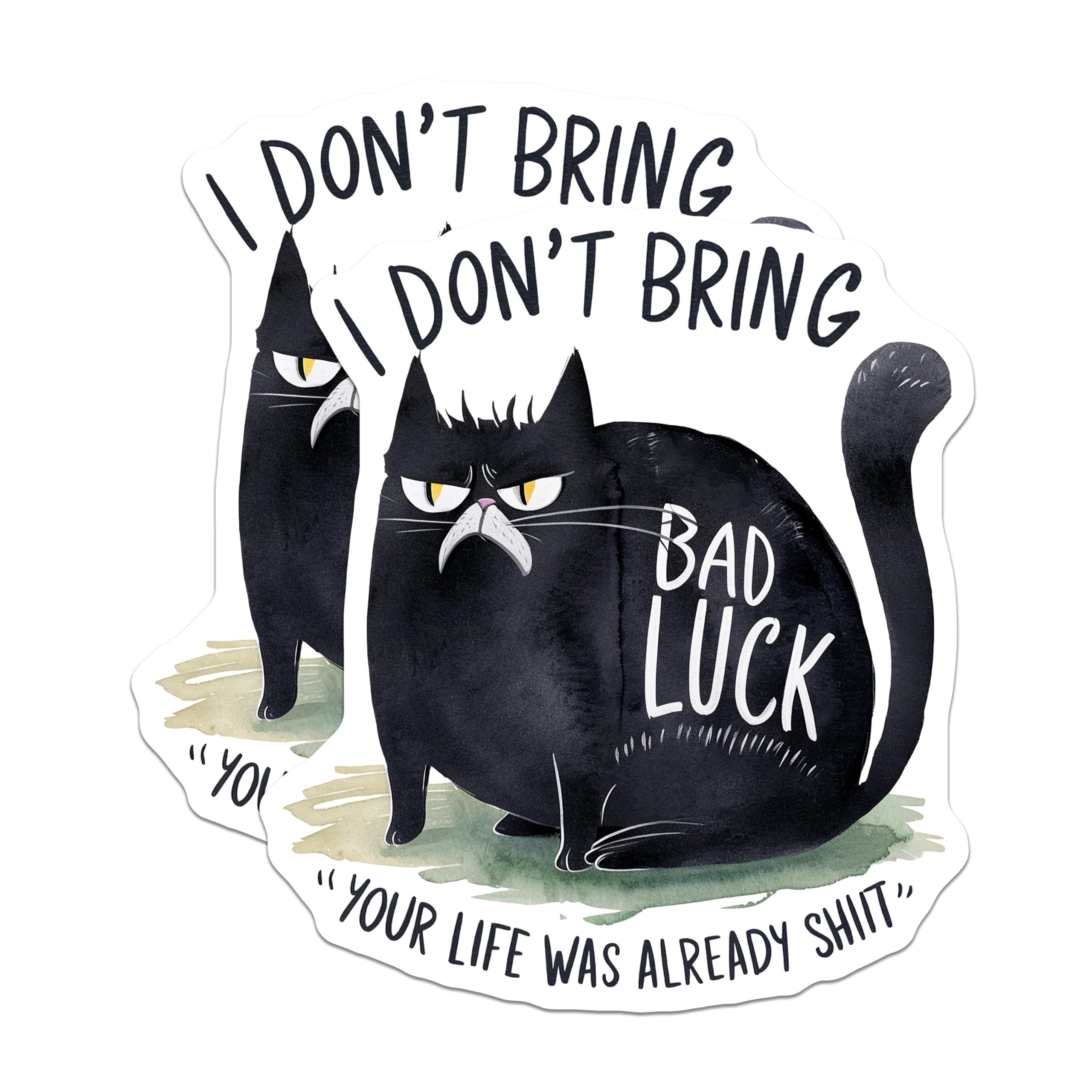 (2 Pack) Funny Cat Stickers - Grumpy Cat Humor Stickers - Sassy Cat Quote Stickers - 5" On Longest Side - Sticks to Any Smooth Flat Surface - Made in USA - BMCS3451
