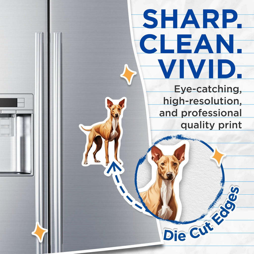 (2 Pack) Ibizan Hound Magnets - Podenco Dog Art - Sighthound Lover Decor - Pet Parent Kitchen Accent - Dog Mom Dad Present - 5 Inches On Longest Side - Thick Durable Magnet - Made in USA - MAG29018