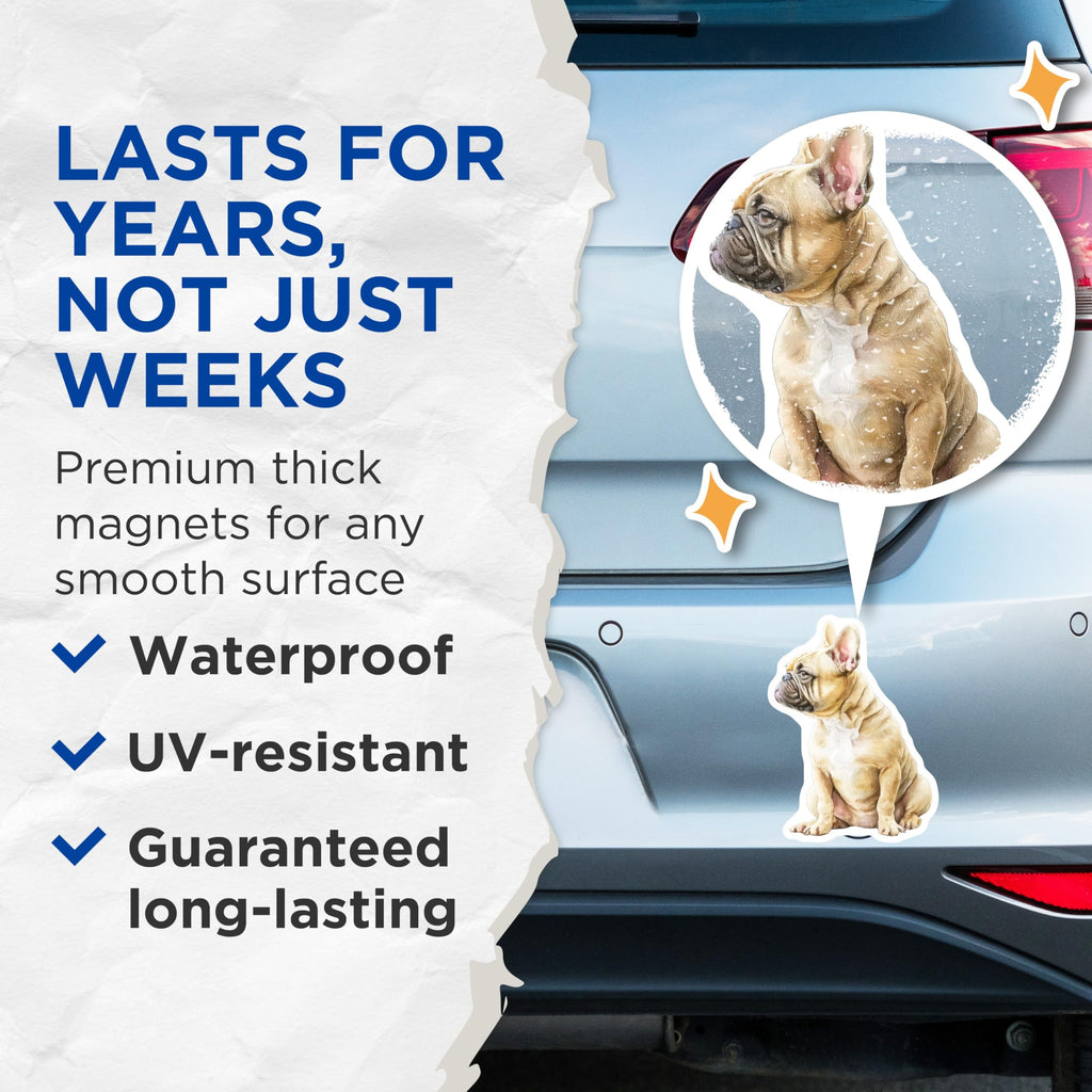 (2 Pack) French Bulldog Magnets - Cute Dog Art - Unique Refrigerator Decor - 5" On Longest Side - Premium Magnet - for Cars, Refrigerators, Toolboxes, Lockers - Made in USA - MAG14468