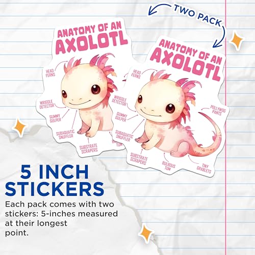 (2 Pack) Anatomy of an Axolotl Stickers - Cute Aquarium Art - Funny Animal Lover Gift - 5" On Longest Side - Sticks to Smooth Flat Surfaces - Made in USA - BMCS7782