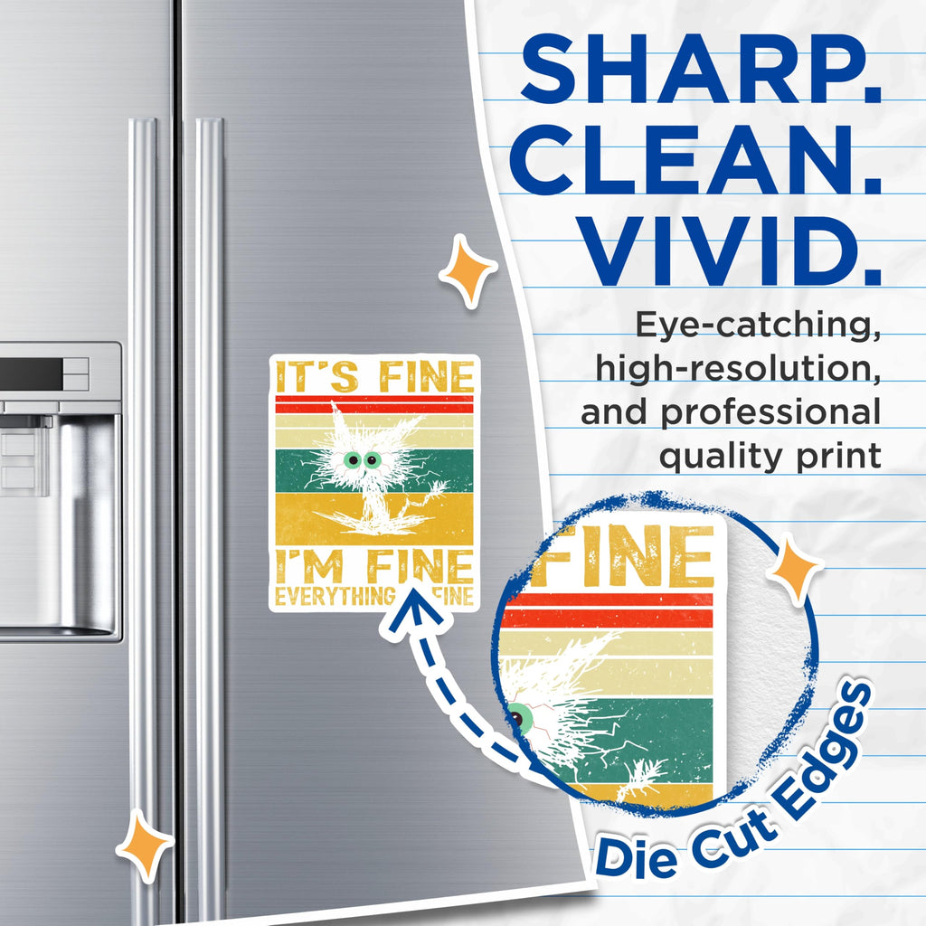 (2 Pack) It's Fine Magnets - Crazy Cat Decor - Everything is Fine Novelty Magnets - 5" On Longest Side - Premium Magnet - for Cars, Refrigerators, Toolboxes, Lockers - Made in USA - MAG14232