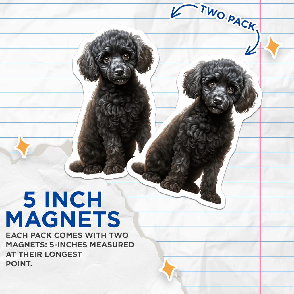 (2 Pack) Black Poodle Puppy Magnets - Adorable Dog Lover Kitchen Decor - Pet Parent Refrigerator Accessories - 5 Inches On Longest Side - Thick Durable Magnet - Made in USA - MAG30408