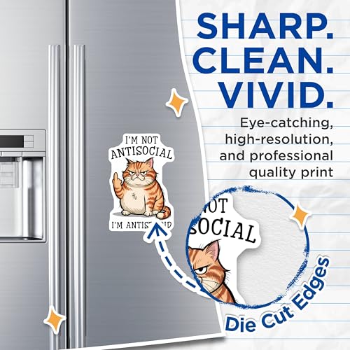 (2 Pack) I'm Not Antisocial Magnets - Funny Cat - I'm Antistupid - Humorous Fridge - Sarcastic Cat - 5" On Longest Side - for Cars, Refrigerators, Toolboxes, Lockers - Made in USA BMCS3323