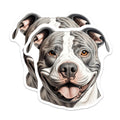 (2 Pack) Happy Pitbull Dog Magnets - Smiling Canine Buddy Decor - Pet Lover Refrigerator Magnets - 5 Inches On Longest Side - Thick Durable Magnet - Made in USA - MAG24779
