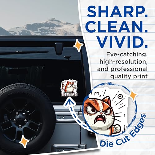 (2 Pack) Bad Cattitude Stickers - Angry Cat - Funny Cat Meme - 5" On Longest Side - Sticks to Smooth Flat Surfaces - Made in USA - BMCS5957