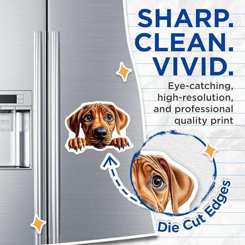 (2 Pack) Adorable Dog Art Magnet - Cute Animal Decor - 5" On Longest Side - Sticks to Smooth Flat Surfaces - Made in USA - MAG10265