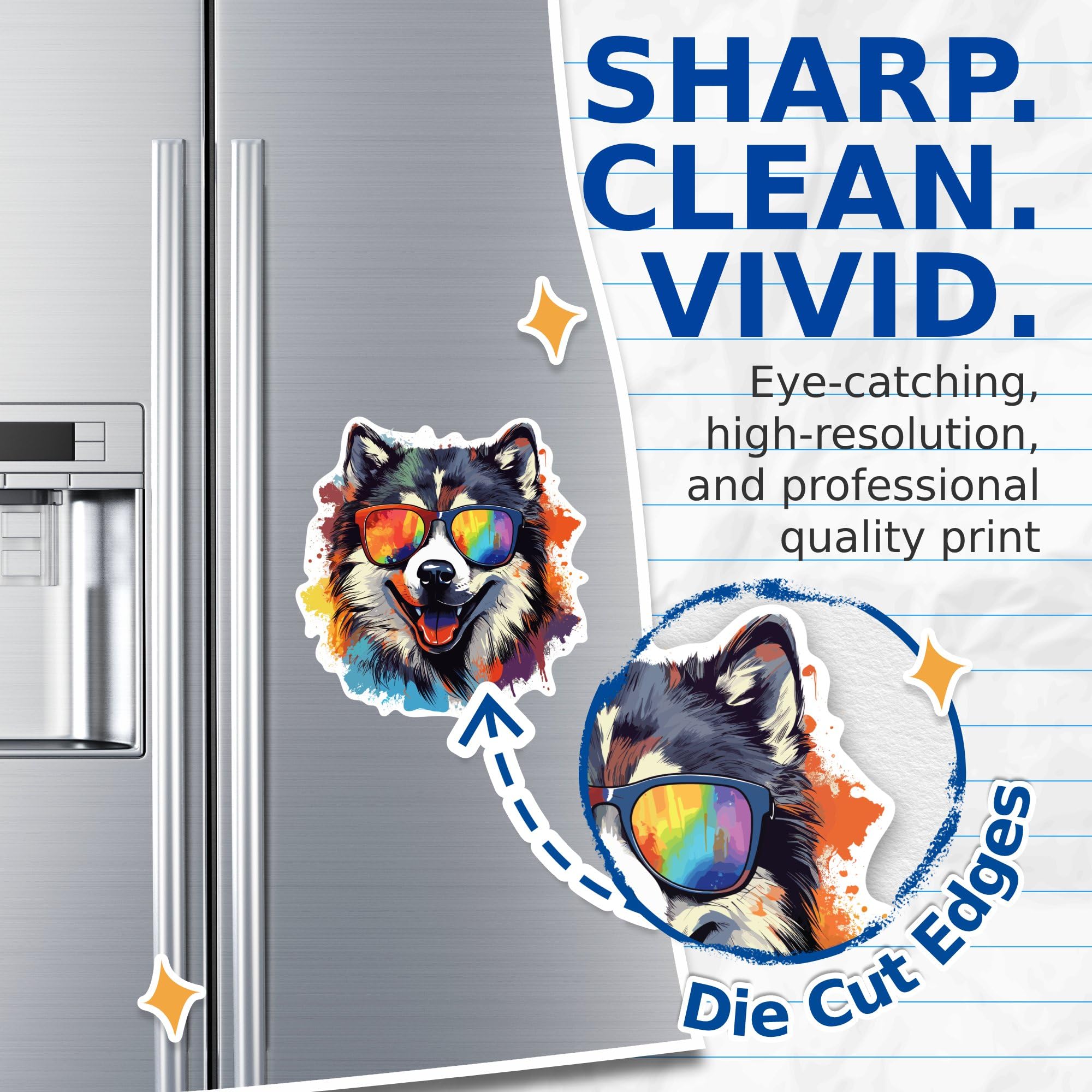 (2 Pack) Alaskan Malamute Dog Magnets - Alaskan Malamute with Sunglasses - Choose FromOver 100 Dog Breeds - 5" On Longest Side - Premium Magnet - Made in USA - MAG0302