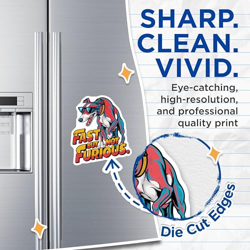 (2 Pack) Fast But Not Furious Magnets Magnets - Funny Dog - Cool Canine Artwork for Kitchen - 5" On Longest Side - Made in USA - Sticks to Refrigerators & Metal Surfaces - MAG8528