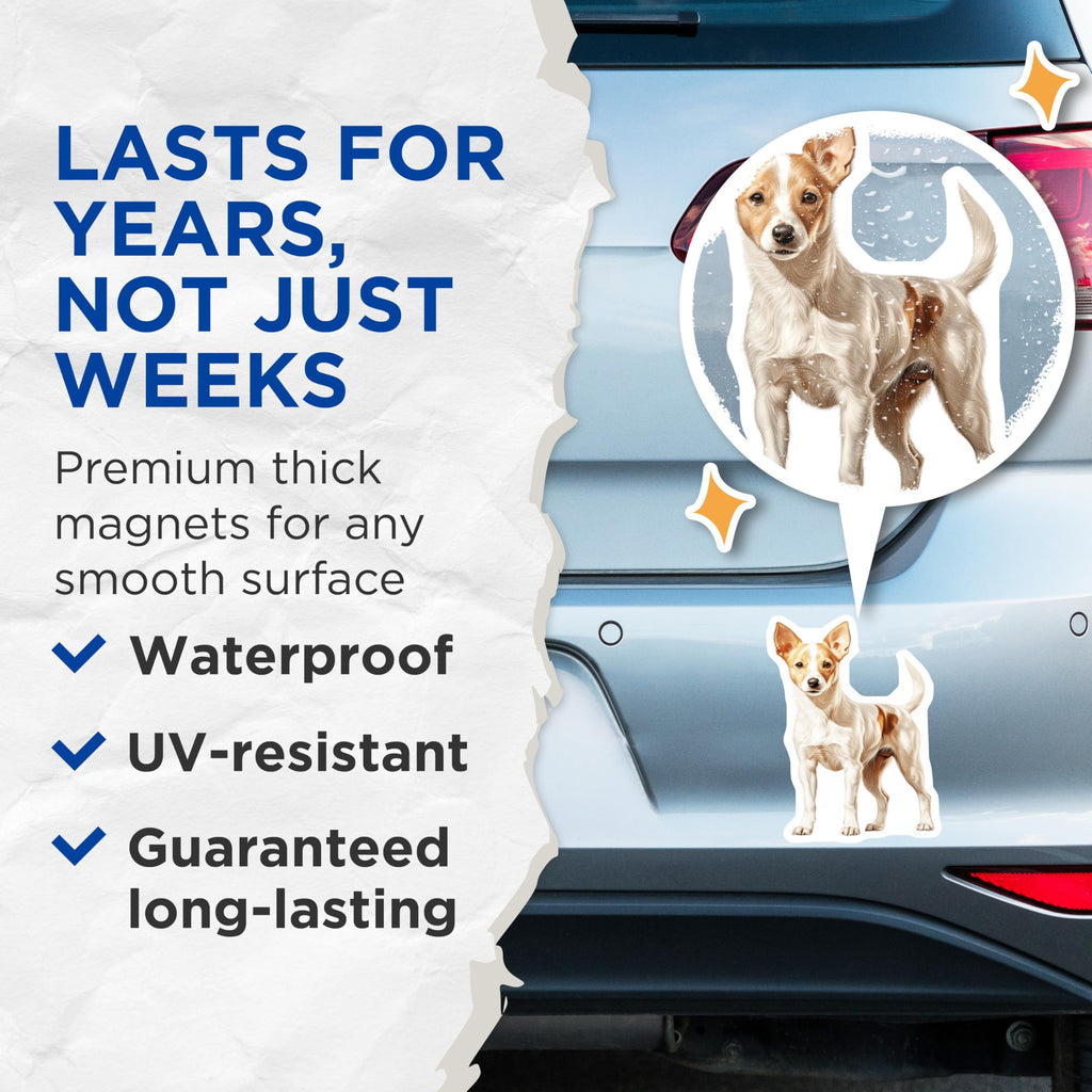 (2 Pack) Jack Russell Terrier Magnets - Cute Dog Lover Fridge Decor - Pet Owner Kitchen Accessory - 5 Inches On Longest Side - Thick Durable Magnet - Made in USA - MAG28375