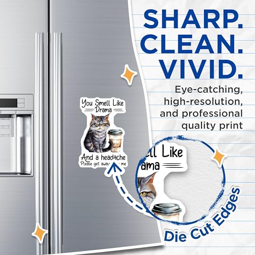 (2 Pack) Cat Meme Magnets - 5" On Longest Side - for Cars, Fridges, Toolboxes - Made in USA - MAG7727