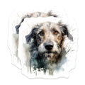 (2 Pack) Shaggy Dog Magnets - Watercolor Pet Art - Dog Lover Home Decor - 5 Inches On Longest Side - Thick Durable Magnet - Made in USA - MAG29862