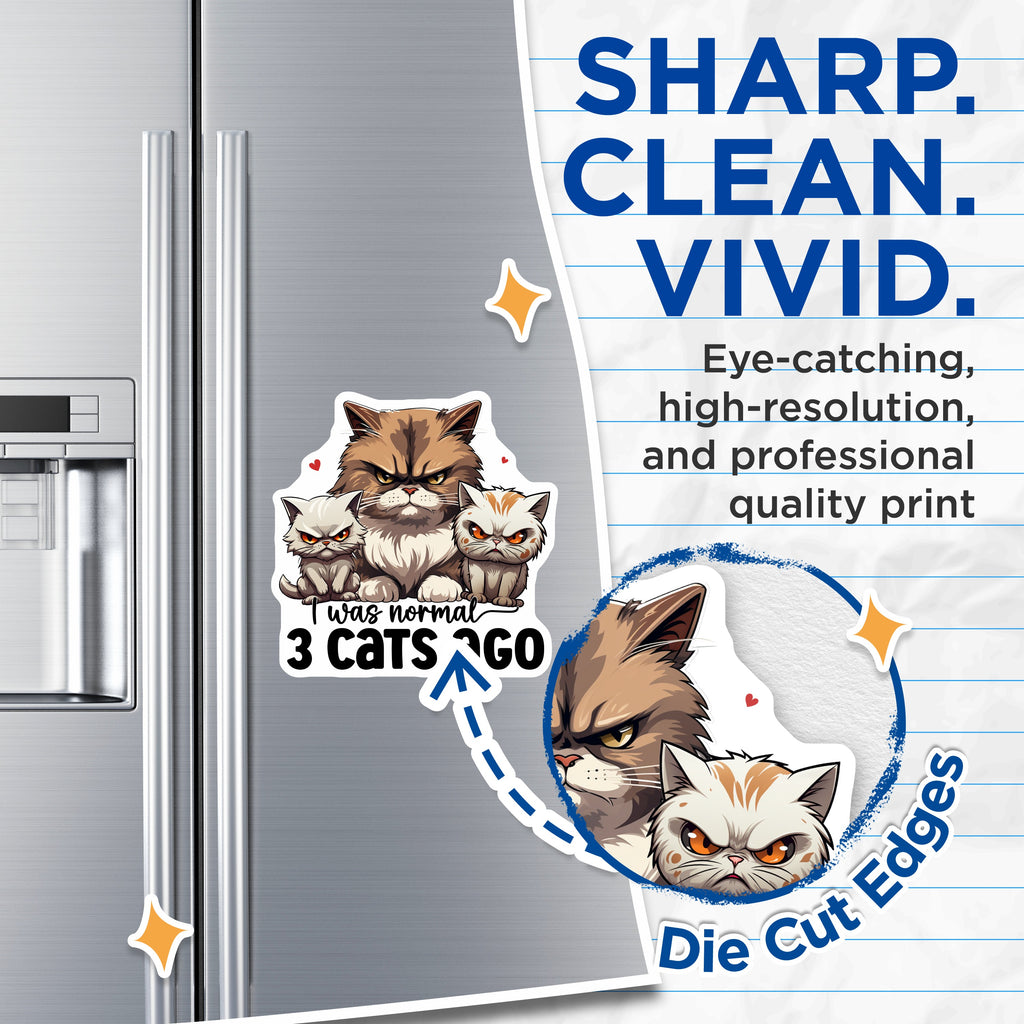 (2 Pack) Funny Cat Magnets - Grumpy Cat Lover Fridge Art - Multi Cat Mom Humor Decor - 5 Inches On Longest Side - Thick Durable Magnet - Made in USA - MAG36605