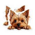 (2 Pack) Pet Lover's Kitchen Decor Magnet - Fun Fridge Accessories - 5" On Longest Side - Sticks to Smooth Flat Surfaces - Made in USA - MAG10281