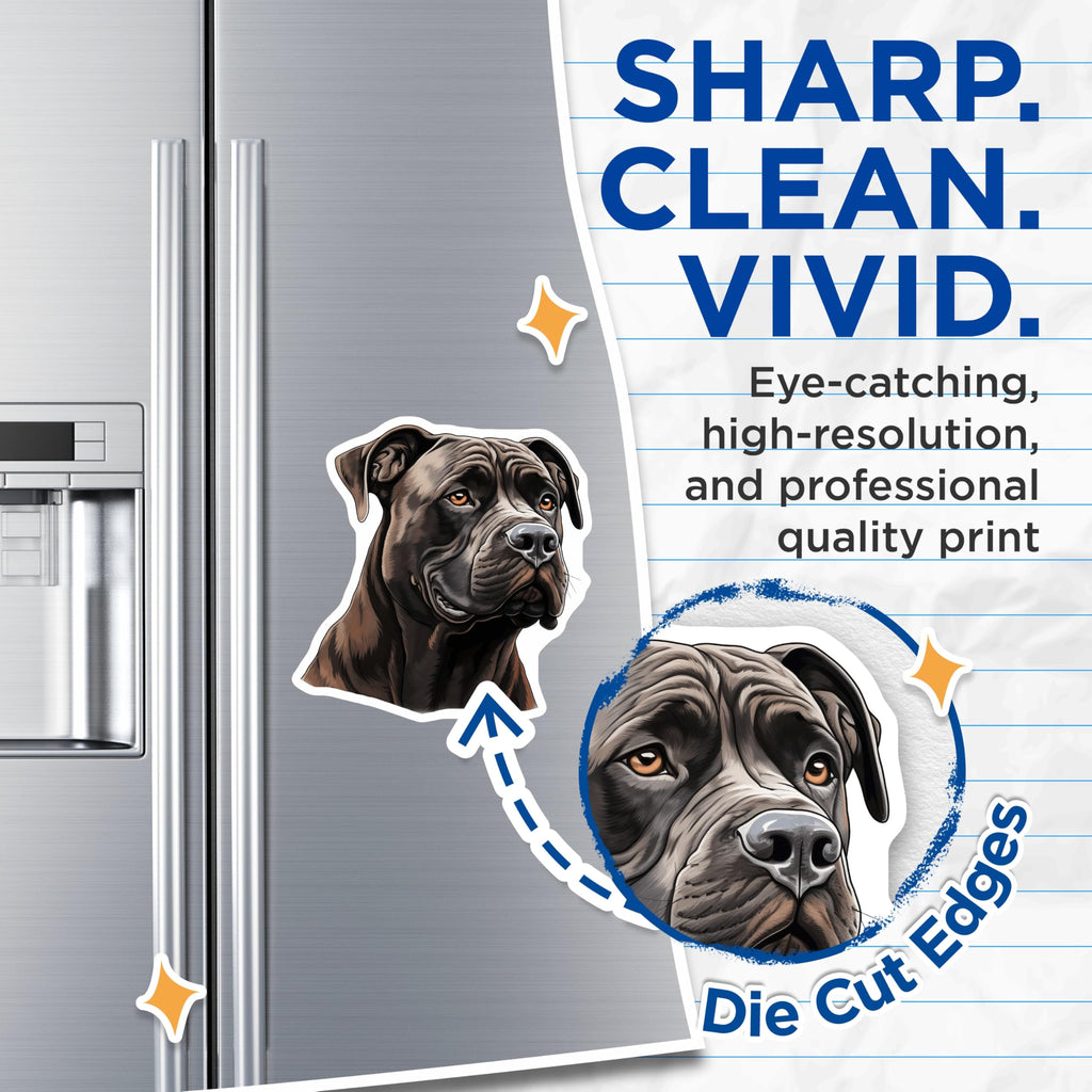(2 Pack) Cane Corso Magnets - Dog Lover Decor - Pet Owner Accessory - Animal Art Refrigerator - 5 Inches On Longest Side - Thick Durable Magnet - Made in USA - MAG29212