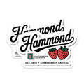 (2 Pack) Hammond Louisiana Magnets - Strawberry Capital Souvenirs - Southeastern LA Decor for Home - 5 Inches On Longest Side - Thick Durable Magnet - Made in USA - MAG19374