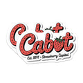 (2 Pack) Cabot Arkansas Magnets - Strawberry Capital Souvenir - Arkansas Hometown Decor - 5 Inches On Longest Side - Thick Durable Magnet - Made in USA - MAG19441