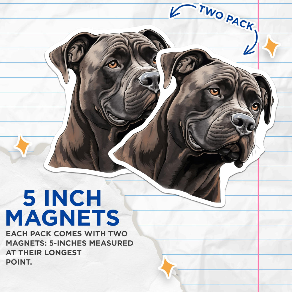 (2 Pack) Cane Corso Magnets - Dog Lover Decor - Pet Owner Accessory - Animal Art Refrigerator - 5 Inches On Longest Side - Thick Durable Magnet - Made in USA - MAG29212