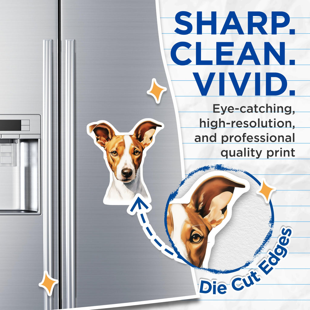(2 Pack) Jack Russell Terrier Magnets - Realistic Dog Portrait - Pet Owner Dog Mom Lover Refrigerator Decor - 5 Inches On Longest Side - Thick Durable Magnet - Made in USA - MAG29366