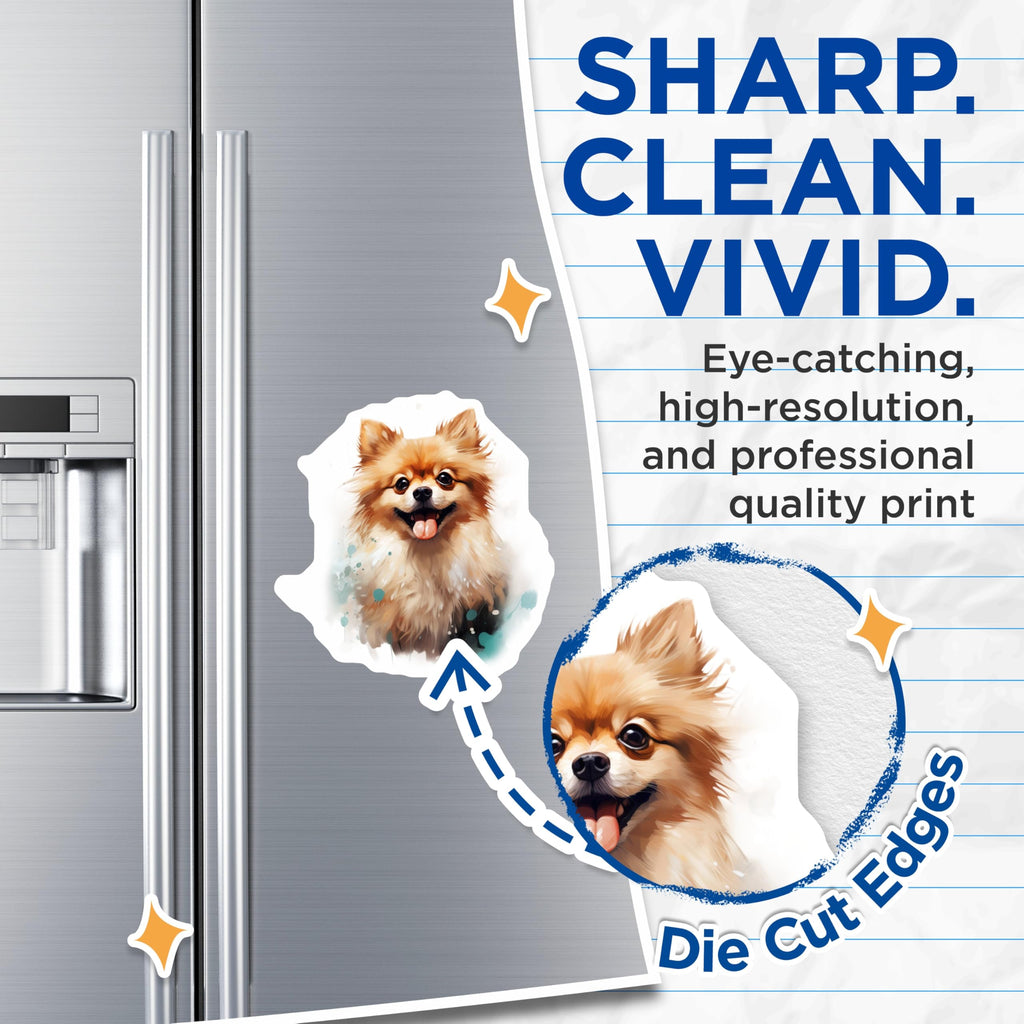 (2 Pack) Happy Pomeranian Dog Magnets - Cute Fluffy Pet Art - Dog Lover Fridge Whiteboard Locker Decor - 5 Inches On Longest Side - Thick Durable Magnet - Made in USA - MAG25997