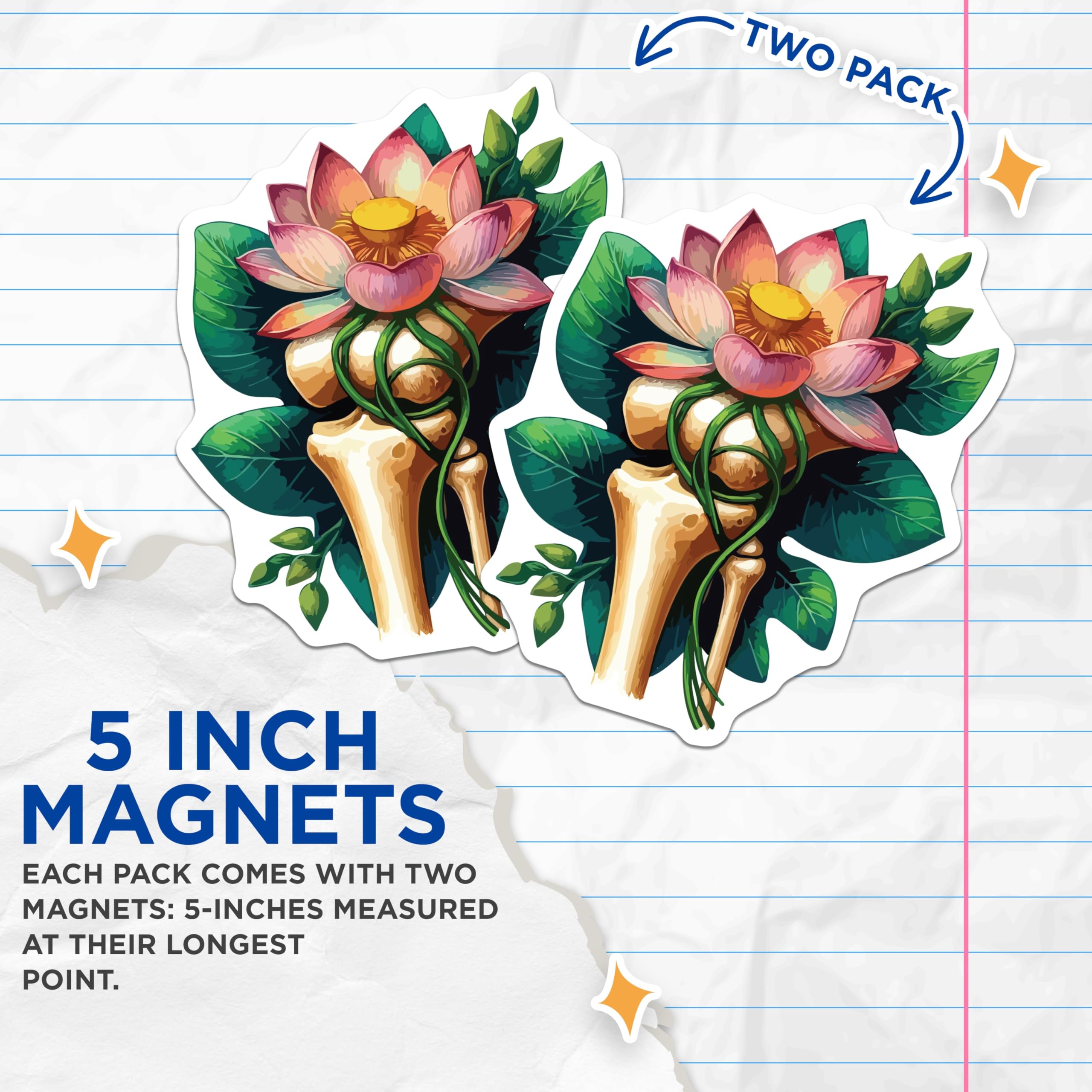 (2 Pack) Lotus Bone Magnets - Anatomical Floral Art - Spiritual Skeleton Decor - 5 Inches On Longest Side - Thick Durable Magnet - Made in USA - MAG19967