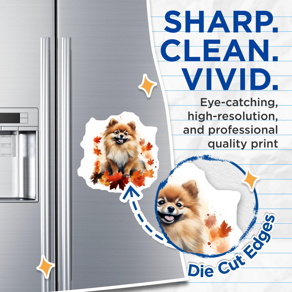 (2 Pack) Adorable Pomeranian Dog Magnets - Fluffy Puppy Autumn Leaves Decor - Fall Season Pet Lover Refrigerator Accessory - 5 Inches On Longest Side - Thick Durable Magnet - Made in USA - MAG23776