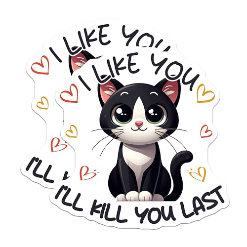 (2 Pack) I Like You I'll Kill You Last Magnets - Funny Cat Quote - Cute Kitty Decor - 5" On Longest Side - for Cars, Fridges, Toolboxes - Made in USA - MAG7352