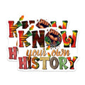 (2 Pack) Know Your Own History Magnets - Inspirational Quote - Educational Decor - 5" On Longest Side - for Cars, Fridges, Toolboxes - Made in USA - MAG7853