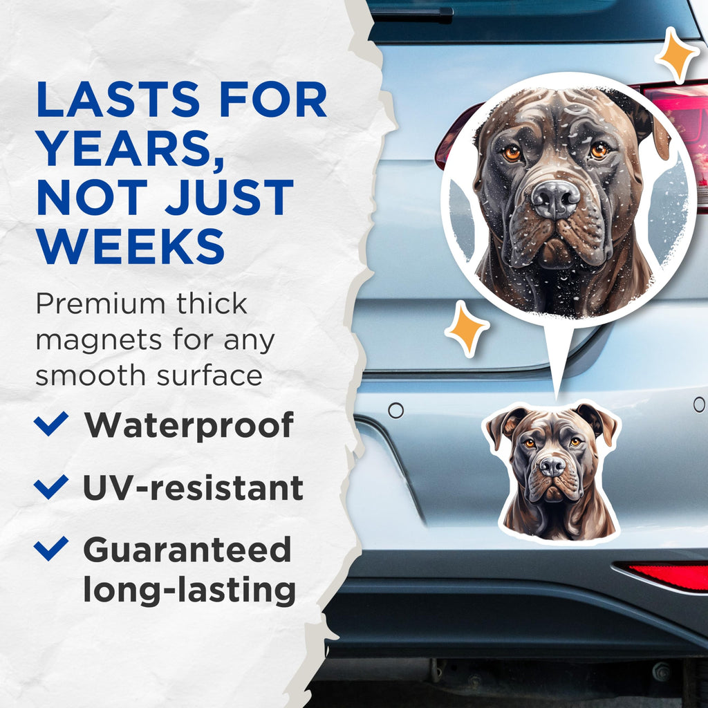 (2 Pack) Cane Corso Dog Breed Magnets - Powerful Mastiff Animal Portrait - Refrigerator Kitchen Locker Home Decor - 5 Inches On Longest Side - Thick Durable Magnet - Made in USA - MAG23250