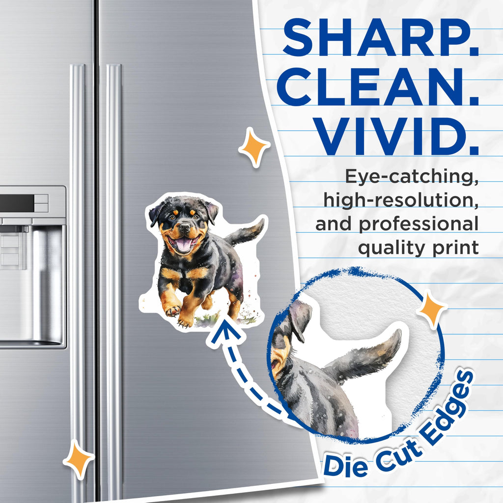 (2 Pack) Rottweiler Dog Magnets - Cute Puppy Art - Fridge Locker Decoration - 5" On Longest Side - Premium Magnet - for Cars, Refrigerators, Toolboxes, Lockers - Made in USA - MAG16060