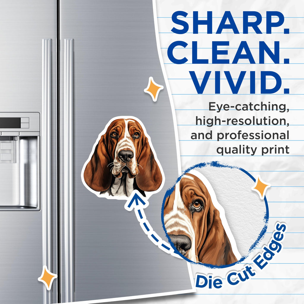 (2 Pack) Basset Hound Dog Magnets - Dog Lover Accessories - Pet Parent Refrigerator Decor - 5 Inches On Longest Side - Thick Durable Magnet - Made in USA - MAG26746
