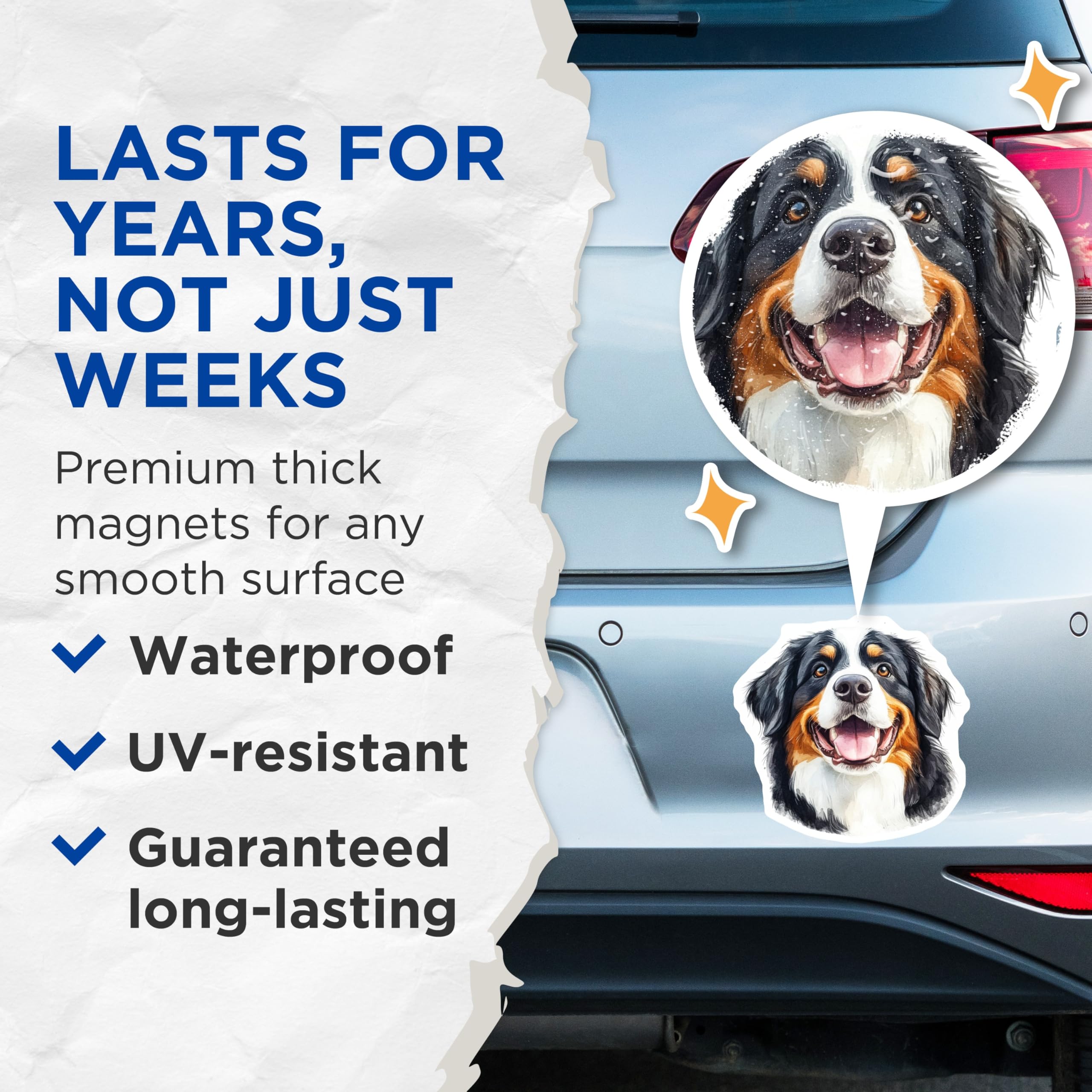 (2 Pack) Bernese Mountain Dog Magnets - Berner Dog Mom - Dog Lover Refrigerator Magnets - 5" On Longest Side - Premium Magnet - for Cars, Refrigerators, Toolboxes, Lockers - Made in USA - MAG14046