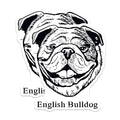 (2 Pack) English Bulldog Stickers - Cute Dog Stickers - Animal Lover Stickers - 5" On Longest Side - Sticks to Smooth Flat Surfaces - Made in USA - BMCS4028