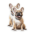 (2 Pack) French Bulldog Magnets - Smiling Frenchie Dog Lover Accessory - Canine Puppy Refrigerator Locker Magnets - 5 Inches On Longest Side - Thick Durable Magnet - Made in USA - MAG24267