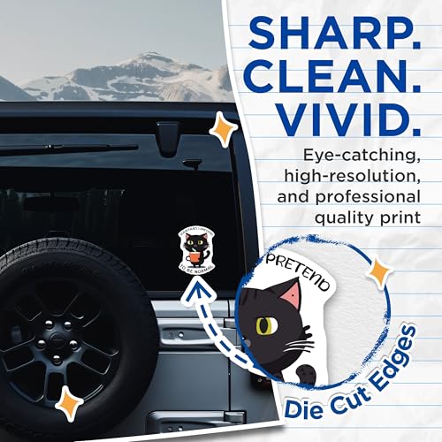 (2 Pack) Funny Cat Stickers - Sometimes I Pretend to Be Normal - Cute Black Cat Mug Sticker - 5" On Longest Side - Sticks to Smooth Flat Surfaces - Made in USA - BMCS5947