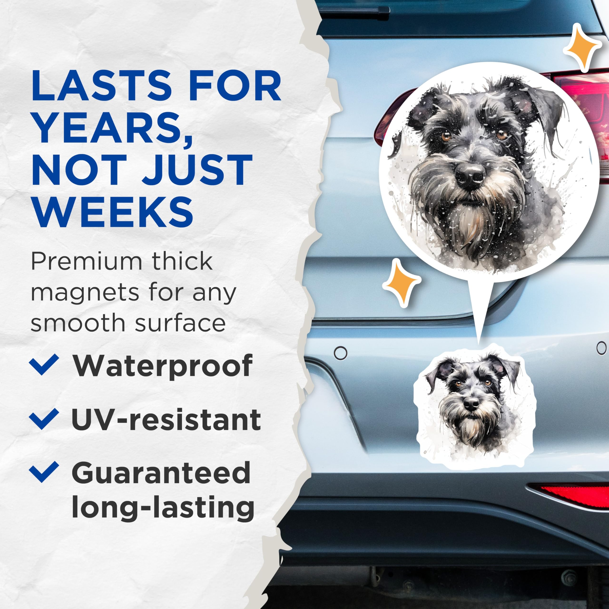 (2 Pack) Schnauzer Dog Watercolor Magnets - Pet Lover Home Decor - Dog Mom Dad Appreciation - 5 Inches On Longest Side - Thick Durable Magnet - Made in USA - MAG25495