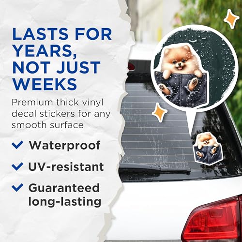 (2 Pack) Cute Pomeranian Dog Stickers - Pomeranian Art Decals - Adorable Pet Stickers for Laptops and Water Bottles - 5" On Longest Side - Sticks to Smooth Flat Surfaces - Made in USA - BMCS4249