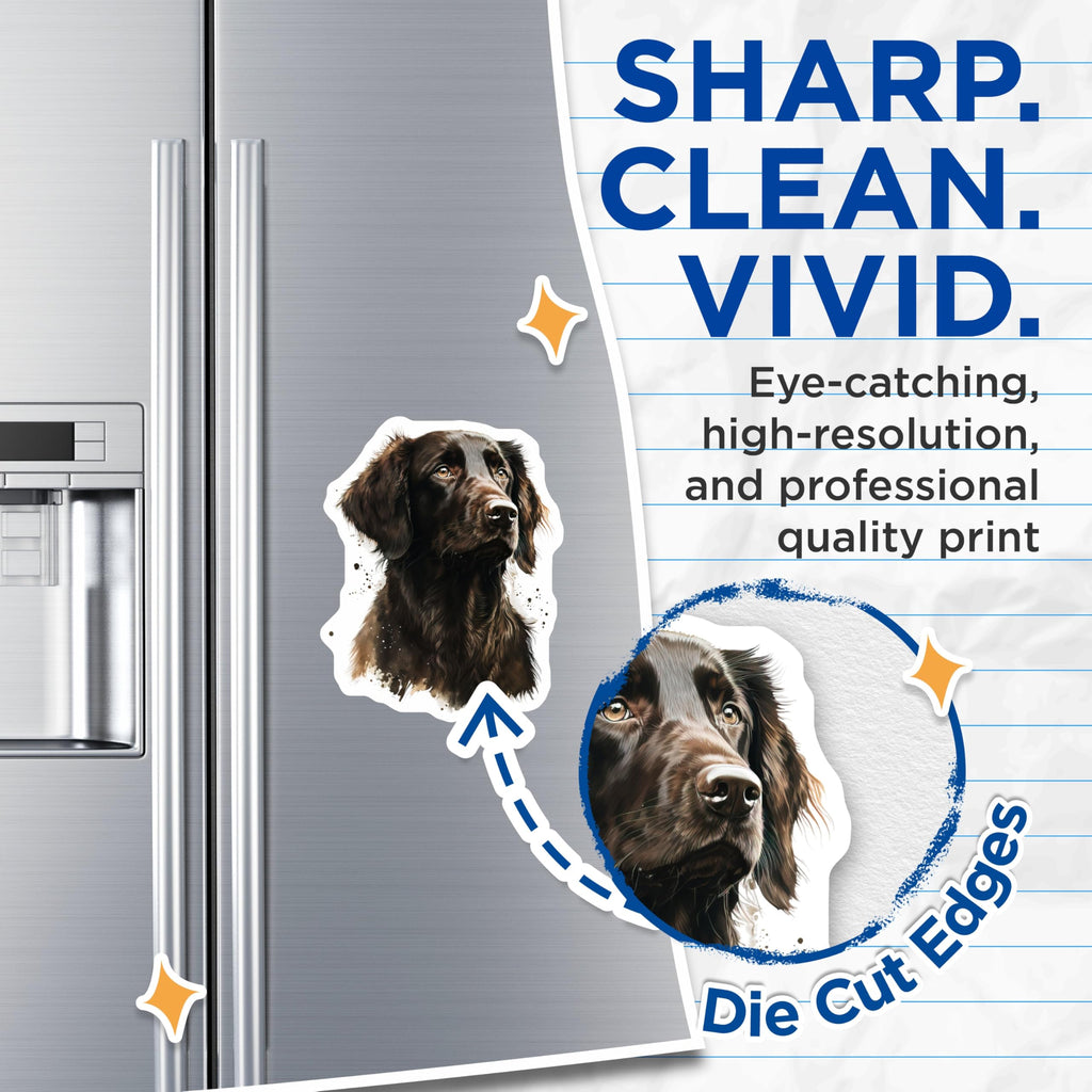 (2 Pack) Flat Coated Retriever Magnets - Dog Lover Decor - Pet Mom Accessory - 5 Inches On Longest Side - Thick Durable Magnet - Made in USA - MAG27393