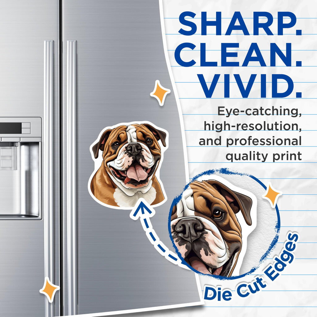 (2 Pack) Bulldog Magnets - English Bulldog Dog Lover - Pet Owner Refrigerator Decor - 5 Inches On Longest Side - Thick Durable Magnet - Made in USA - MAG27558