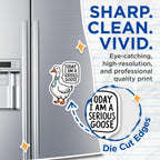 (2 Pack) Serious Goose Magnets - Humorous Kitchen - Fun Office Accessories - 5" On Longest Side - for Cars, Fridges, Toolboxes - Made in USA - MAG4613