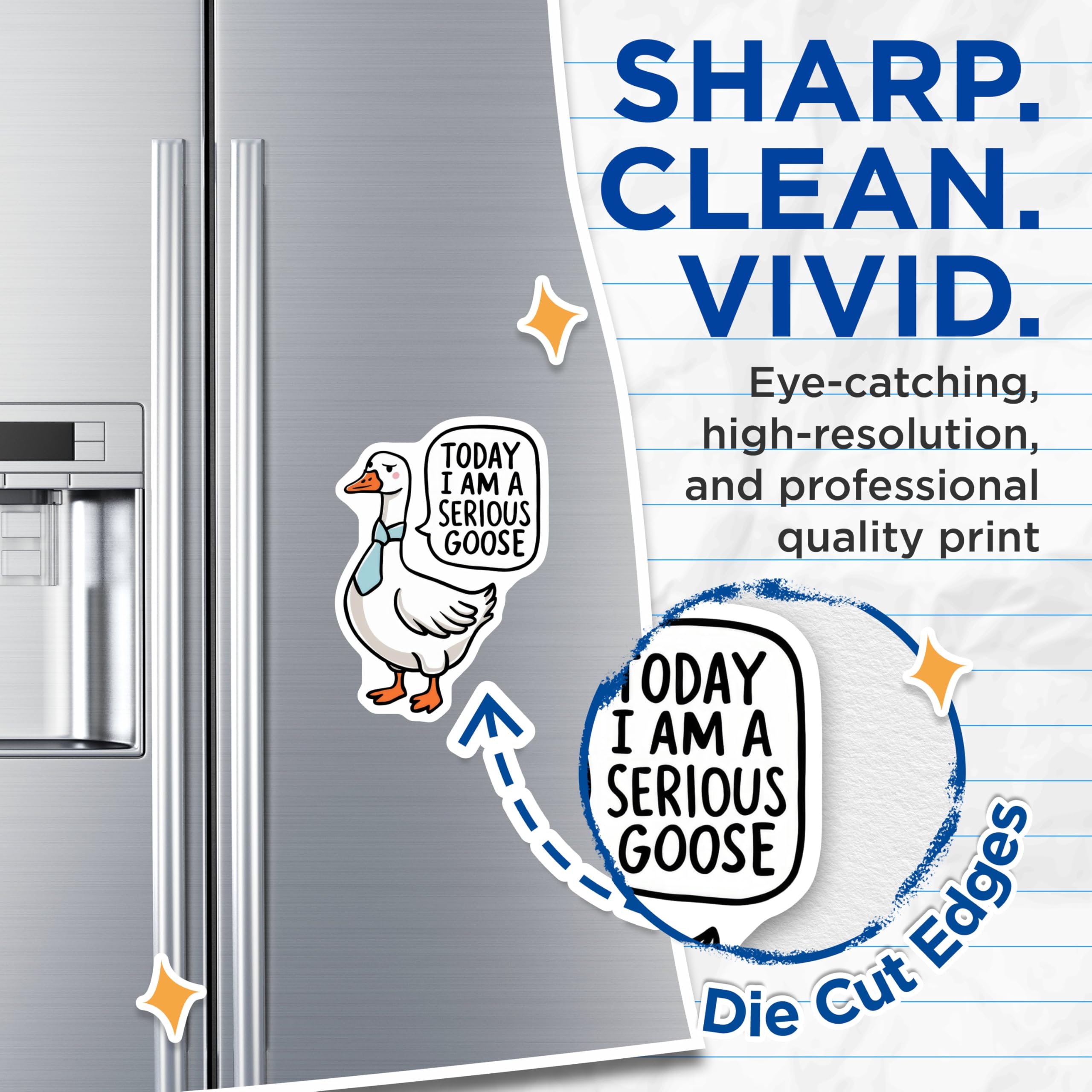 (2 Pack) Serious Goose Magnets - Humorous Kitchen - Fun Office Accessories - 5" On Longest Side - for Cars, Fridges, Toolboxes - Made in USA - MAG4613