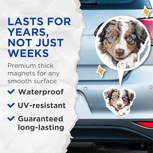 (2 Pack) Pet Lover Decor Magnet - 5" On Longest Side - Sticks to Smooth Flat Surfaces - Made in USA - MAG9838